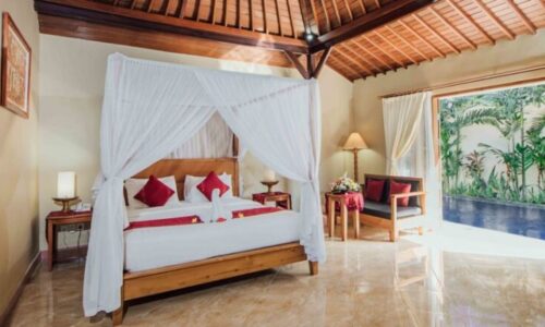 KPB_PHOTO_16-e1504241970735-1080x460 KPB_PHOTO_16-e1504241970735-1080x460